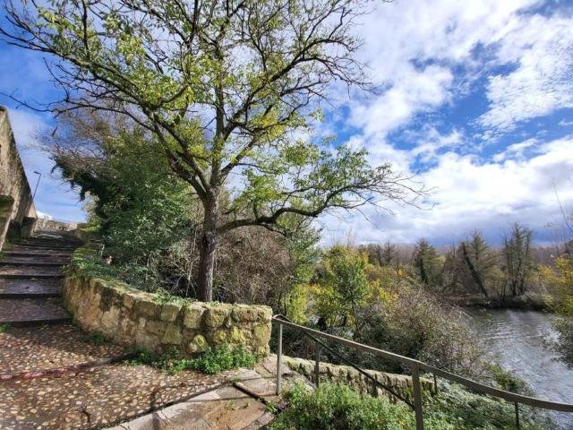 Terreno en Venta en Ciudad Rodrigo