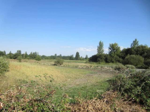 Terreno en Venta en Ciudad Rodrigo