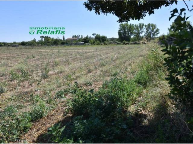 Terreno en Venta en Ciudad Rodrigo