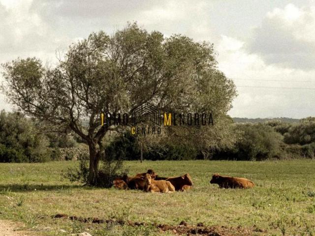 Terreno en venta en Ciutadella de Menorca