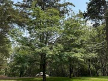 Terreno en Venta en Club Campestre de Puebla ? ?Incre?ble Oportunidad!