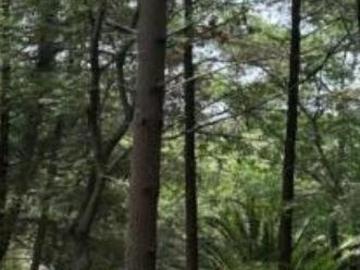 Terreno en Venta en Club Campestre de Puebla – ¡Increíble Oportunidad!