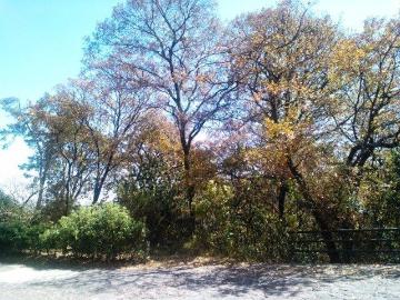 Terreno en venta en club de golf bosques de santa fe