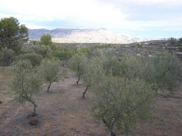 Terreno en Venta en Cocentaina