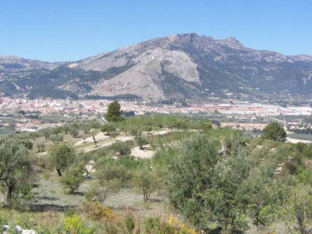 Terreno en Venta en Cocentaina