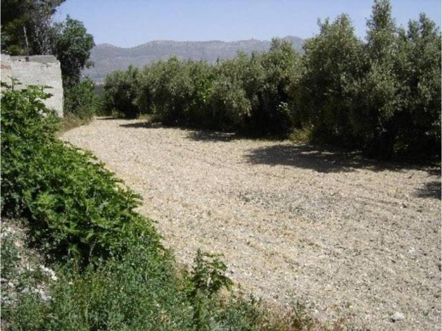 Terreno en Venta en Cocentaina