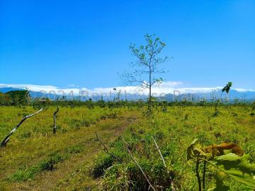Terreno en Venta en Cochea, San Jose de David