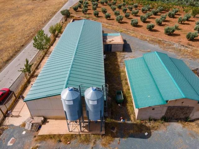 Terreno en Venta en Cogollos de Guadix