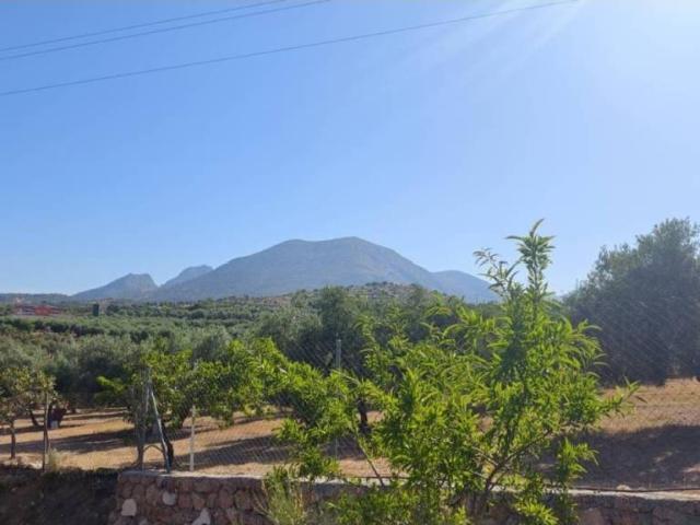 Terreno en Venta en Cogollos de La Vega