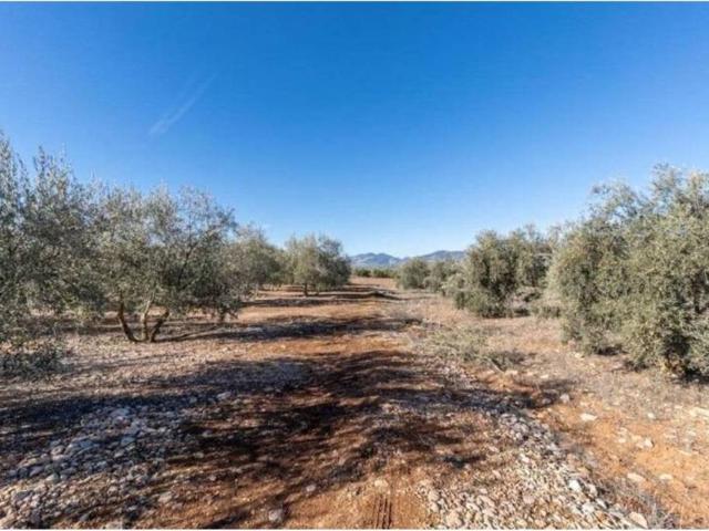 Terreno en Venta en Cogollos de La Vega