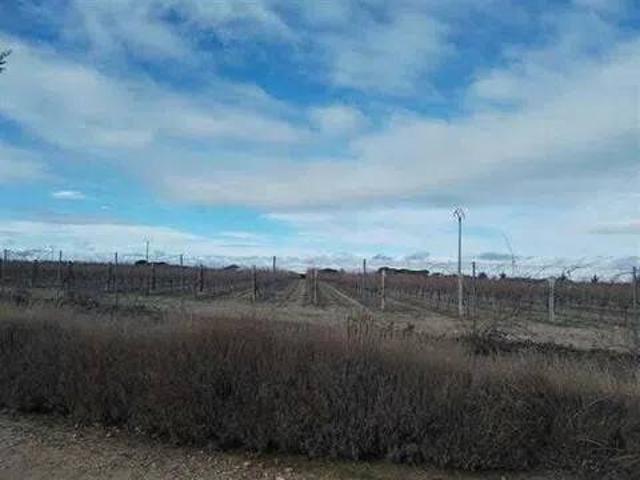 Terreno en Venta en Codorniz