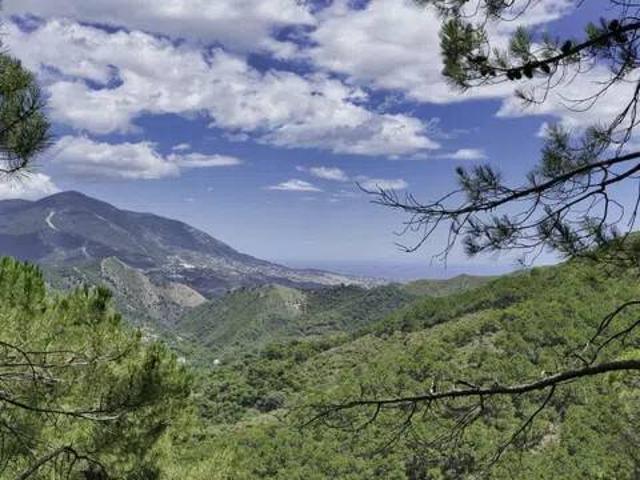 Terreno en Venta en Coín