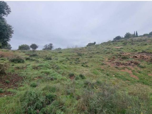 Terreno en Venta en Coín