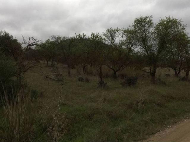 Terreno en Venta en Coín