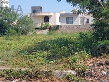 TERRENO EN VENTA EN COL. JESUS LUNA LUNA, MADERO TAMAULIPAS