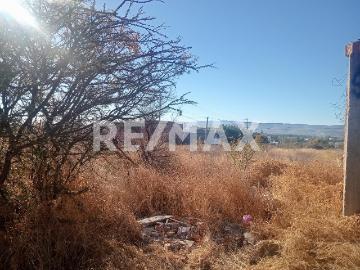 Terreno en venta en Colonia del Bosque
