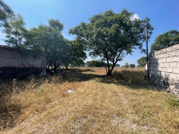 Terreno en venta en Colonia Huertas la Joya. 8
