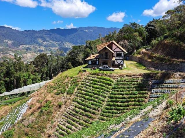 Casa en Venta en Colonia Tovar Aragua 1000 m2. 4 hab