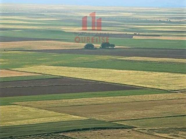 Terreno en Venta en Coles