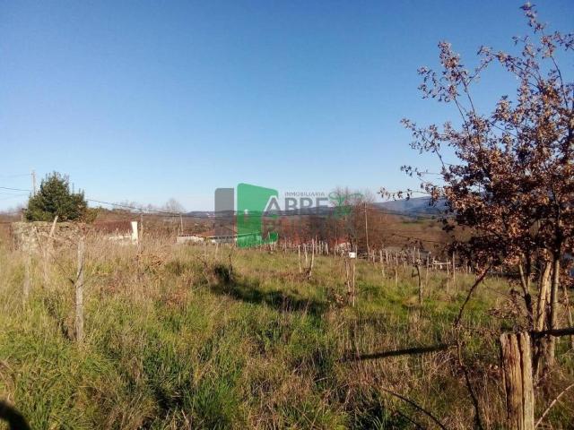 Terreno en Venta en Coles