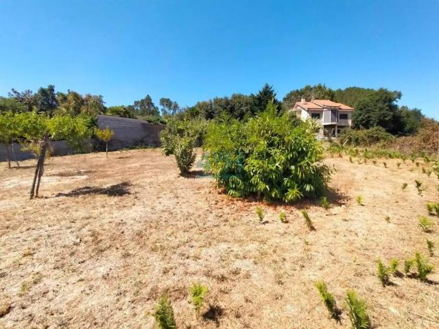 Terreno en Venta en Coles