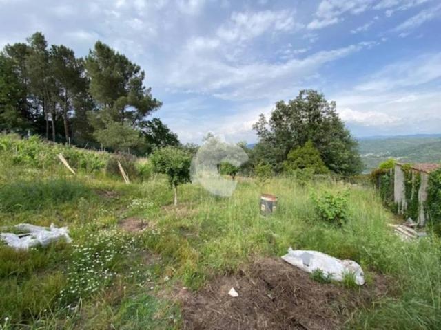 Terreno en Venta en Coles