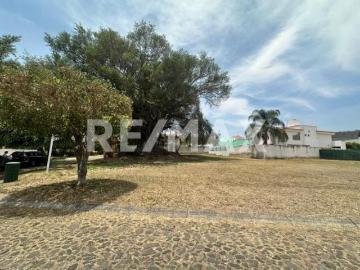Terreno en Venta en Colinas de Santa Anita 4