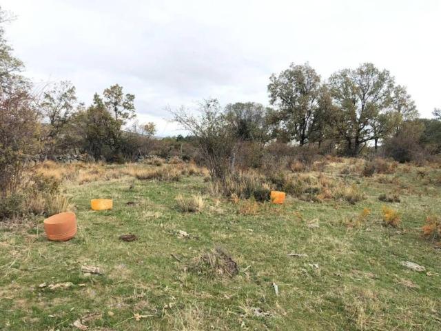 Terreno en Venta en Collado Hermoso