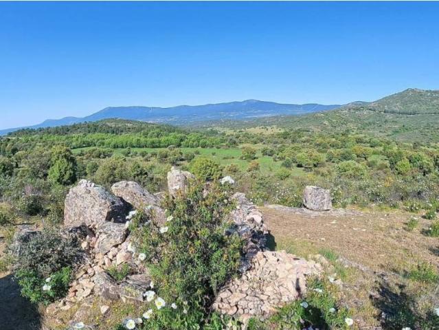 Terreno en Venta en Collado Mediano