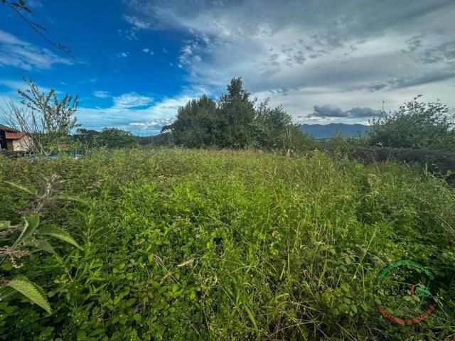 Terreno en Venta en Colunga