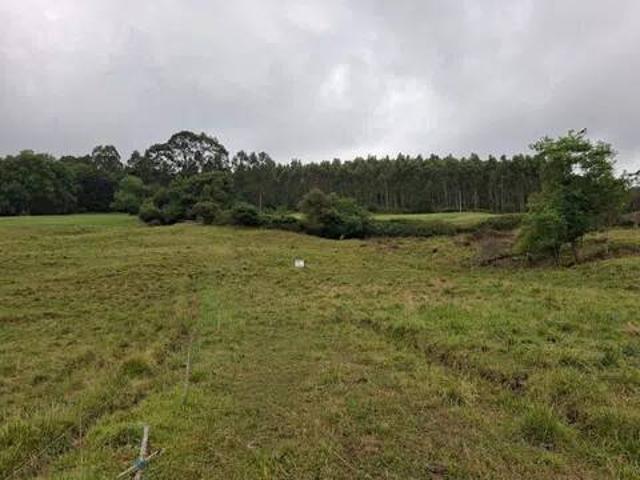 Terreno en Venta en Colunga