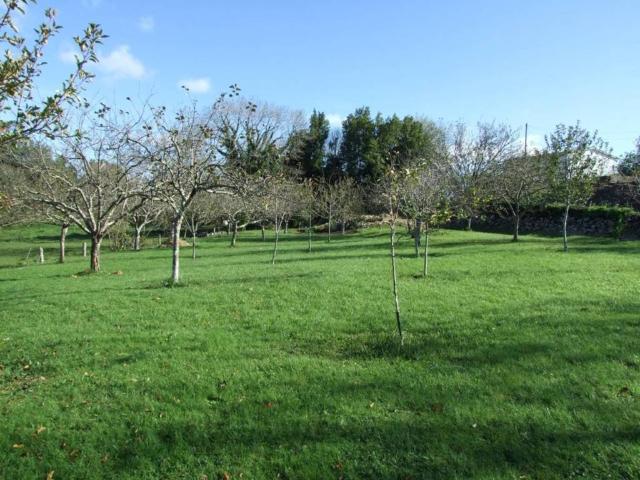 Terreno en Venta en Colunga