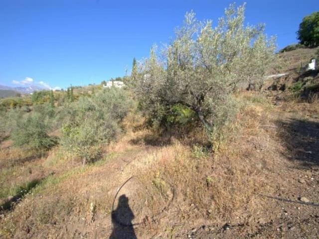 Terreno en Venta en Cómpeta