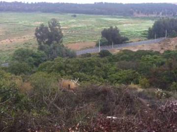 Terreno en Venta en Concon