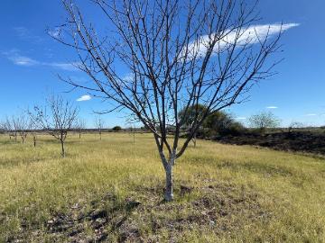 Terreno en venta en Concordia La Rosita, San Pedro, Coahuila de Zaragoza