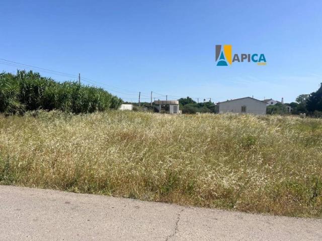 Terreno en Venta en Conil de la Frontera
