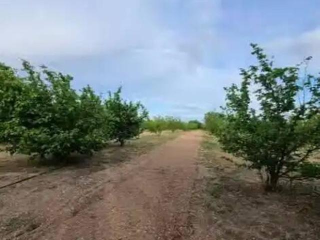 Terreno en Venta en Constantí