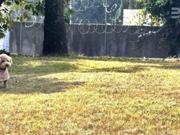 Terreno En Venta En Contadero
