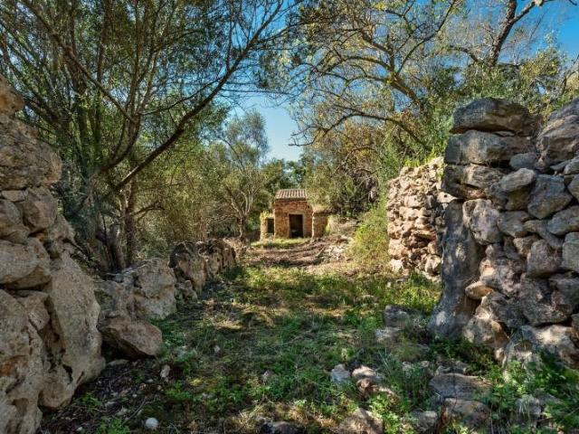 Terreno en venta en Costitx, Costitx
