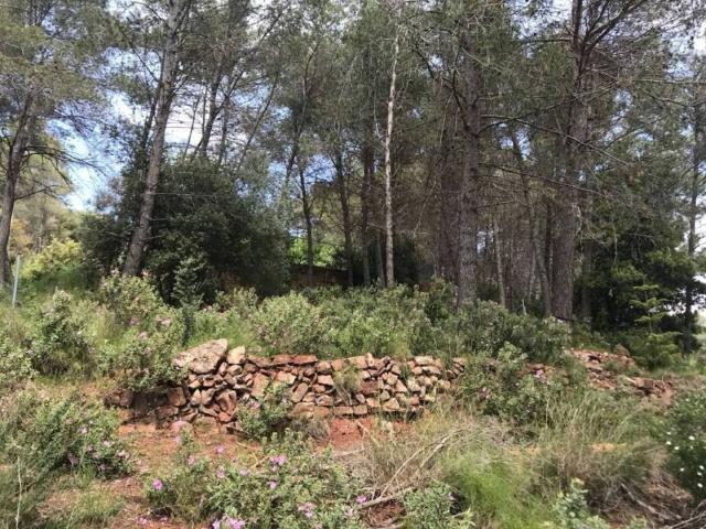 Terreno en Venta en Corbera de Llobregat