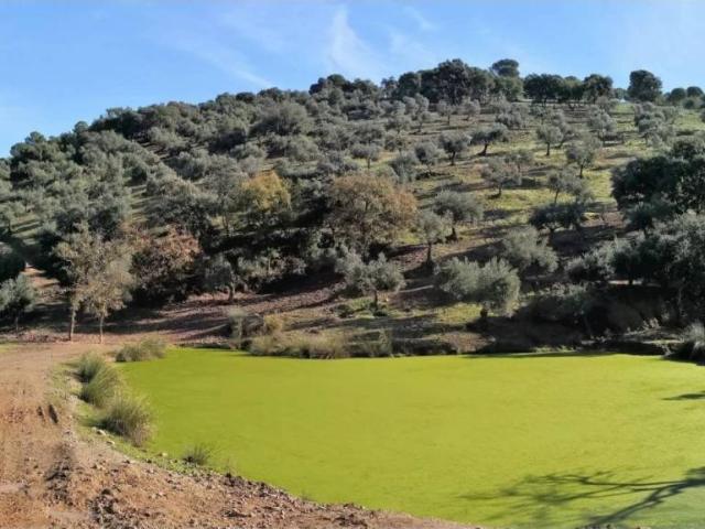 Terreno en Venta en Córdoba