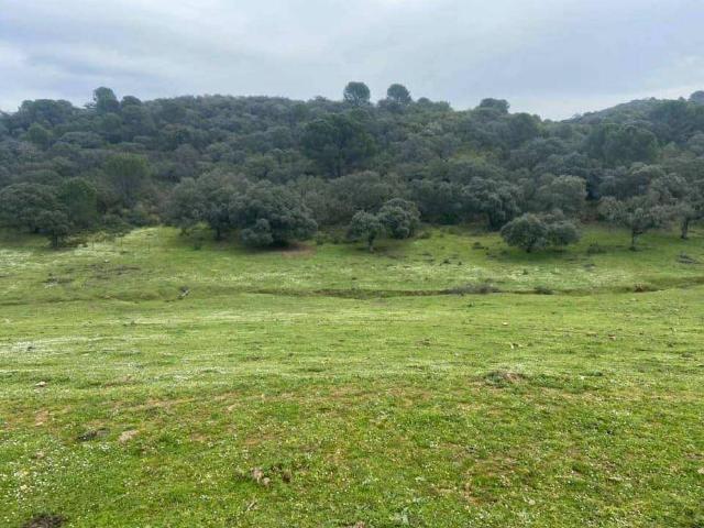 Terreno en Venta en Córdoba