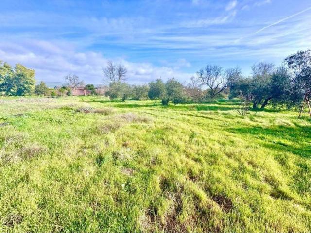 Terreno en Venta en Córdoba