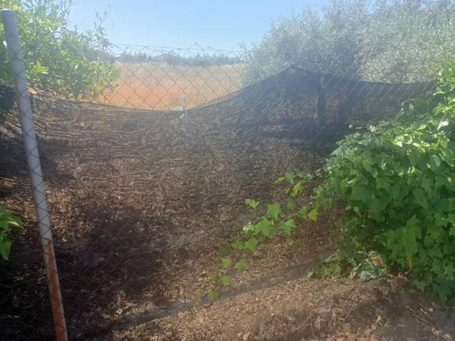 Terreno en Venta en Córdoba