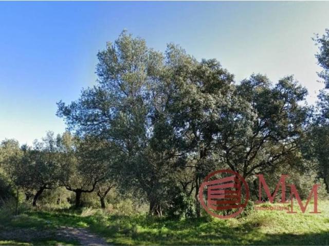 Terreno en Venta en Córdoba