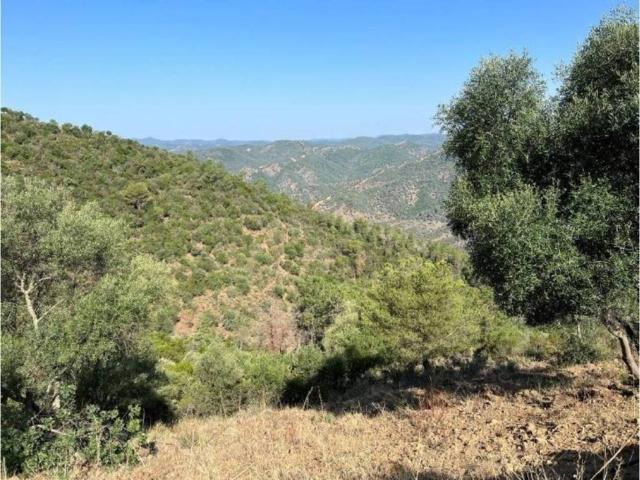 Terreno en Venta en Córdoba
