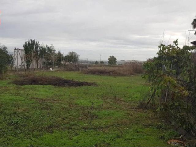 Terreno en Venta en Córdoba