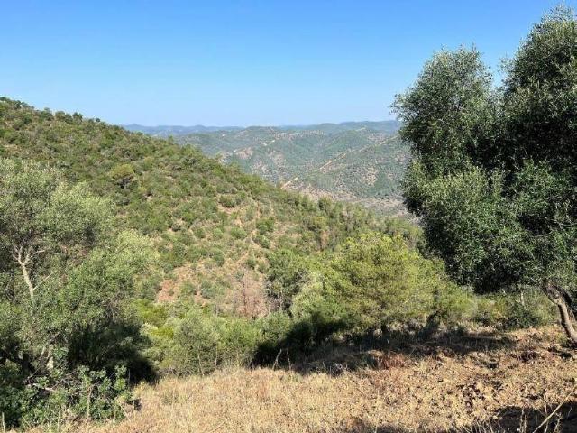 Terreno en Venta en Córdoba