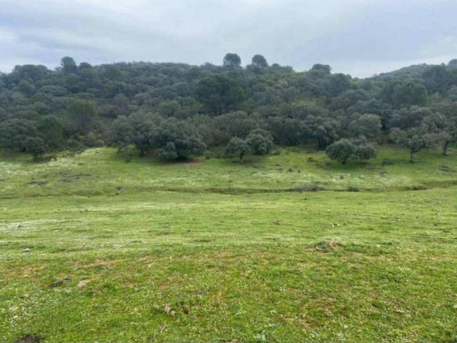 Terreno en Venta en Córdoba