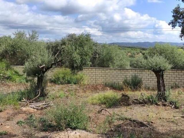 Terreno en venta en Córdoba, Calasancio